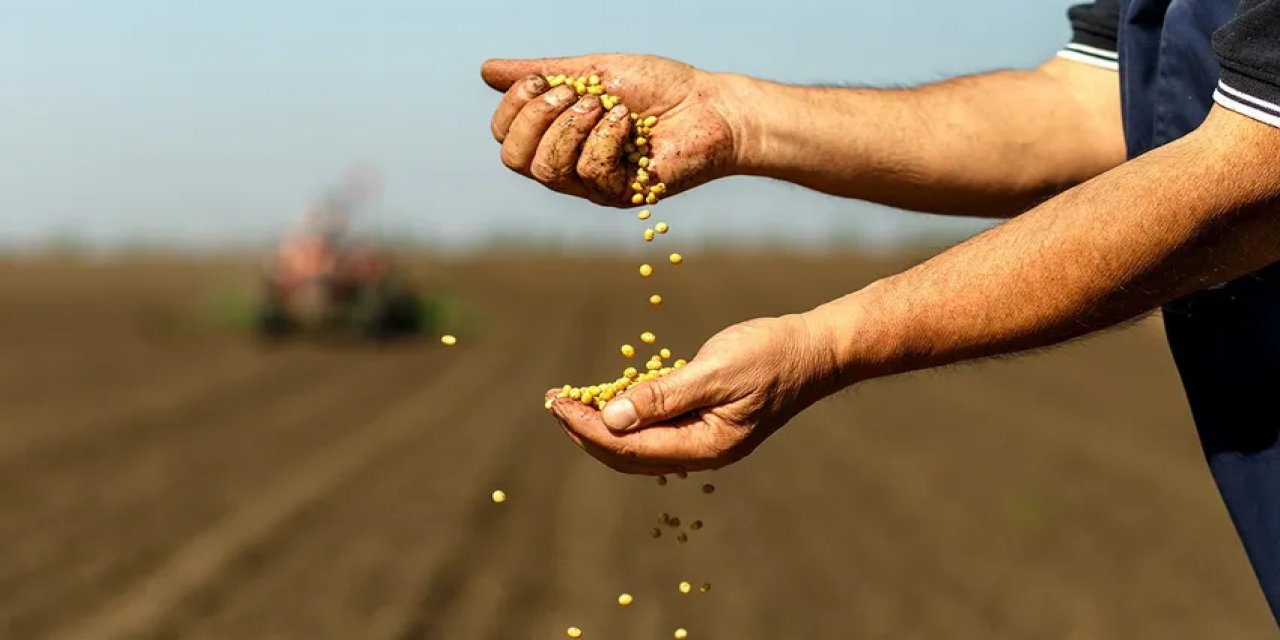 İhracat şampiyonu belirlendi