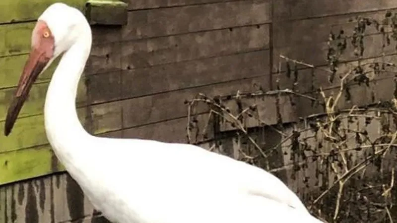 15 yıldır yalnız yaşıyor