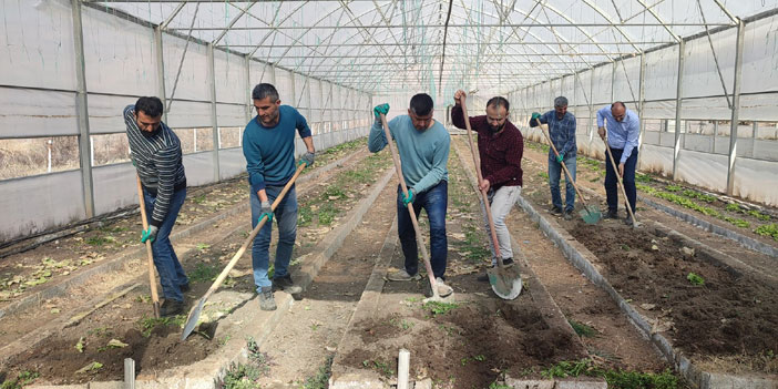 Çukurca seralarında üretim devam ediyor