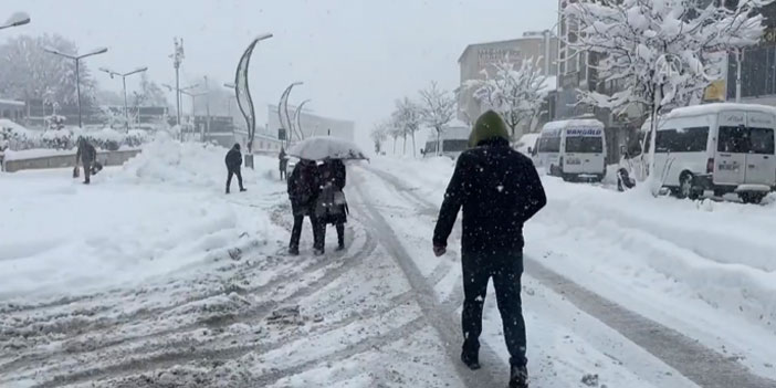 Hakkari'de yoğun kar etkili oluyor