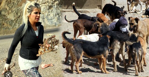 Hakkari'de köpek sevgisi ile bilinen Eda Öğretmen hayatını kaybetti