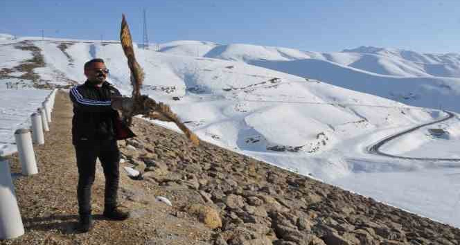 Tedavi edilen puhu kuşu doğaya bırakıldı