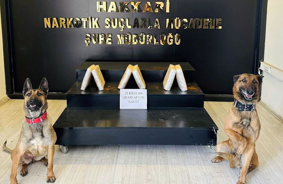 Narkotik köpegi ile yapılan aramada uyuşturucu ele geçirildi