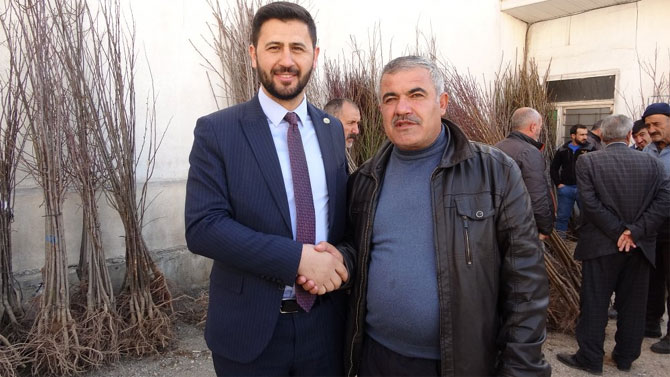Yüksekova'da meyve ağaçları dağıtıldı