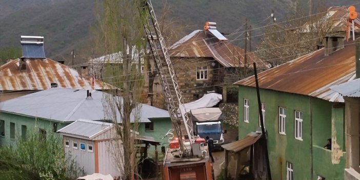 Şemdinli'de ağaçta mahsur kalan kedi kurtarıldı