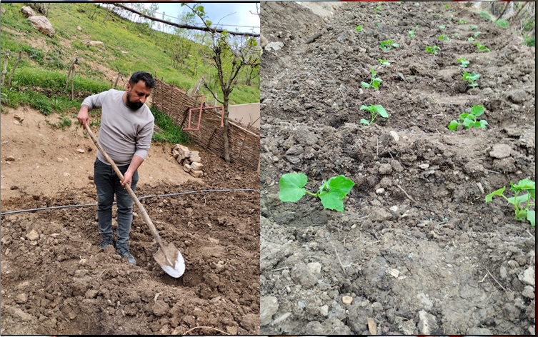 Hakkari’de bahara hazırlıklar başladı