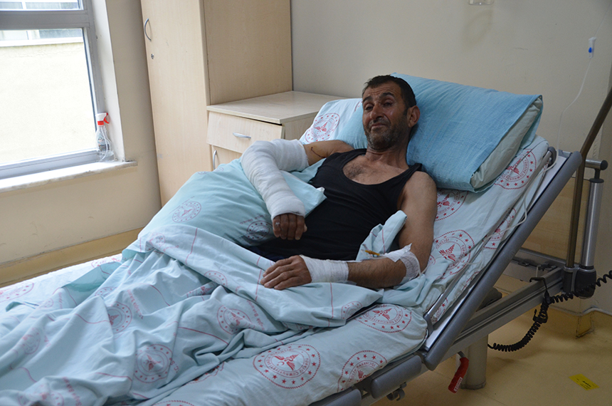 Yüksekova'da  Uçkun toplamaya giden kişiye ayı saldırdı