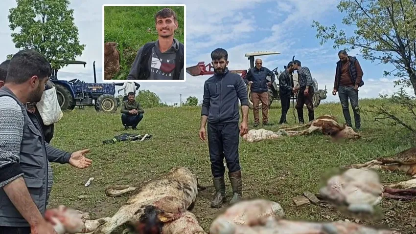 Mezraya yıldırım düştü