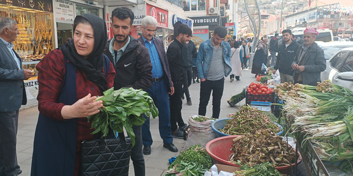 Hakkari’de şifalı ot tezgahları kuruldu