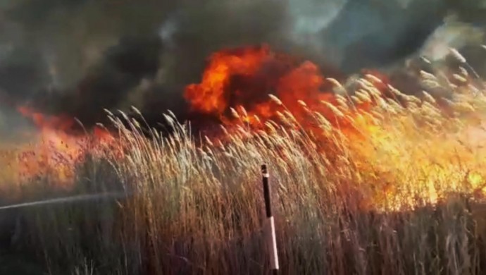 Erçek Gölü sazlığında yangın