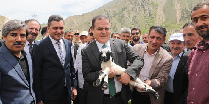 Hakkari'de 4 bin küçük baş hayvan dağıtıldı