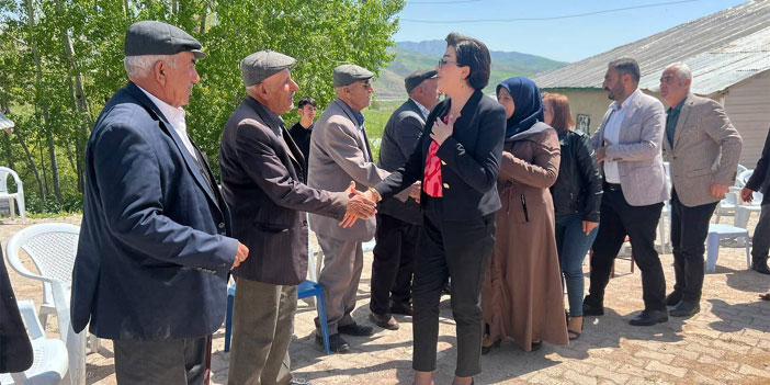 Yeşil Sol Adayları Yüksekova ve Şemdinli'de