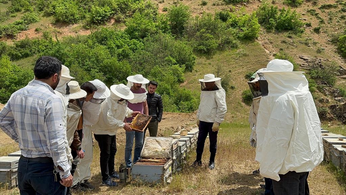 Hakkari'de arıcılık kursu düzenlendi