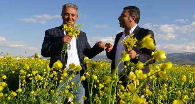 Yüksekova'da büyüleyen görüntü