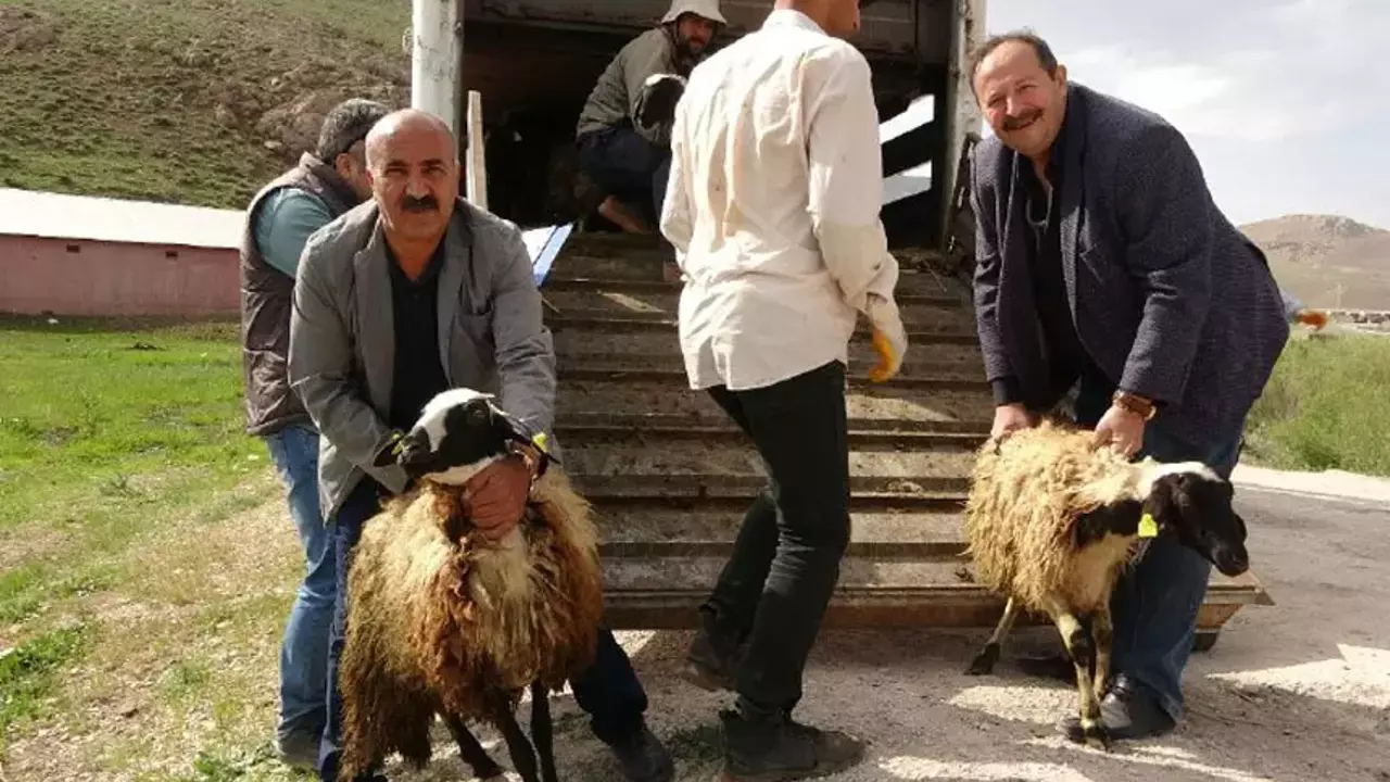 Yüksekova'da çiftçilere destek