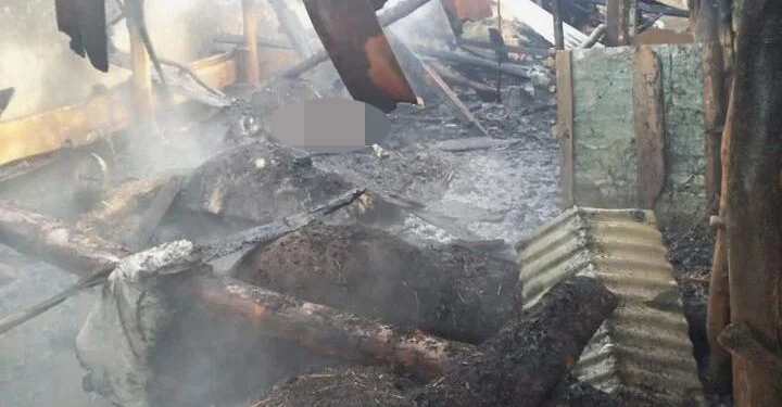 Ahırda yangın: 20 büyükbaş hayvan telef oldu