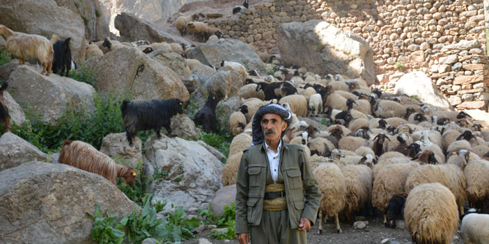 Hakkari’de zorlu yayla göçü başladı
