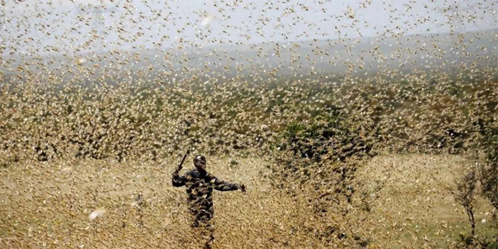 İstila çığ gibi geliyor!