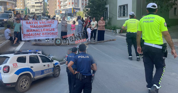 Hakkâri-Van karayolunu trafiğe kapattılar