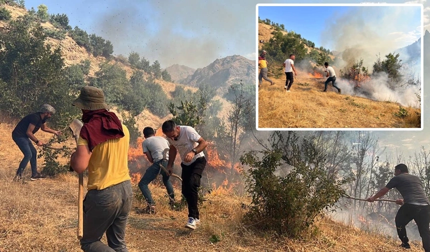 Şemdinli'de orman yangını