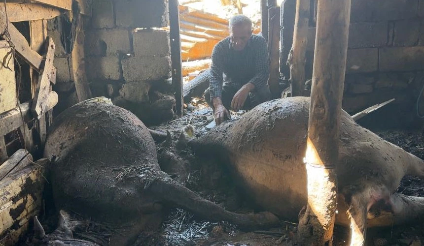 ''Bir gecede tüm geçim kaynağımı kaybettim, yardım bekliyorum!