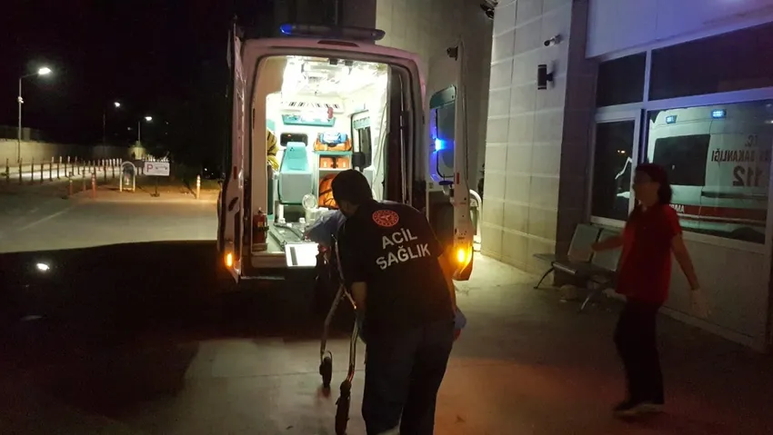 Kiracısı ve köpeğini bıçakladı