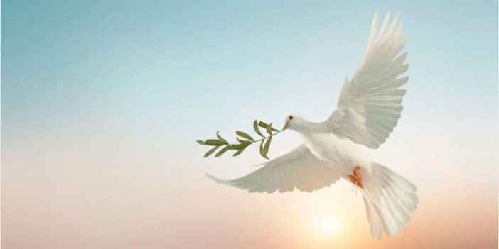 Siyasi partiler ve kurumlardan 1 Eylül Dünya Barış Günü açıklamaları