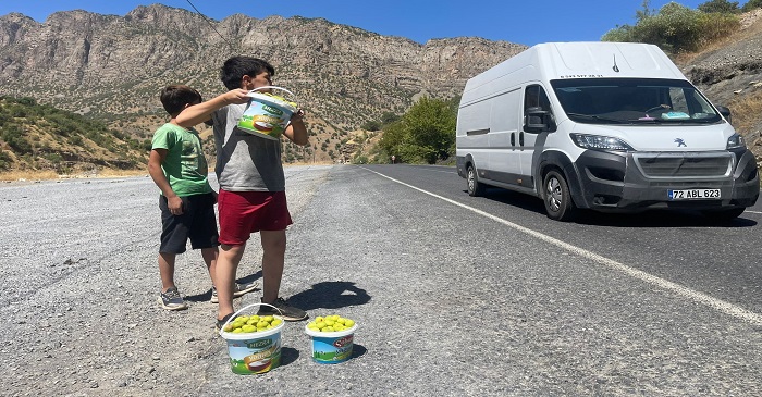 Çukurca karayolunda İncir satarak okul ihtiyaçlarını karşılıyorlar