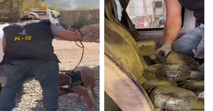 Hakkari'de operasyon: 5 gözaltı