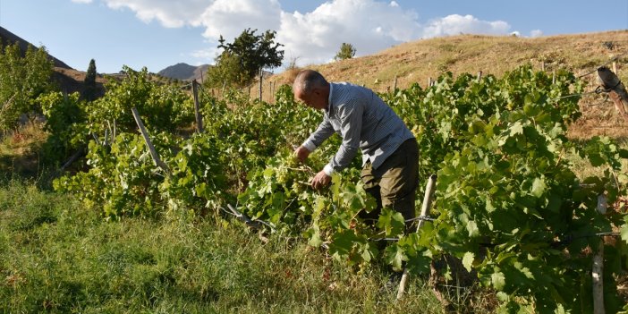 Hakkarili çiftçi kazancıyla her yıl köyündeki 15 öğrenciye burs veriyor