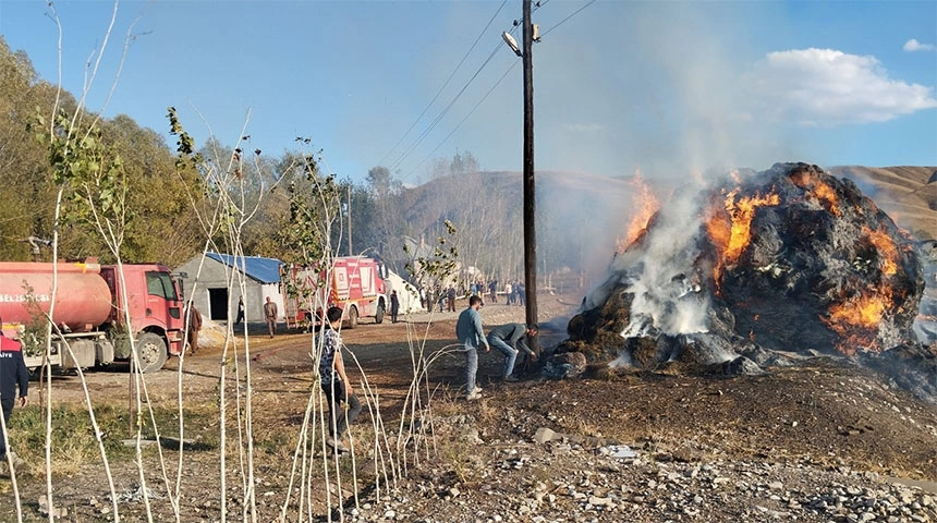 Yüksekova’da çıkan yangında 15 bin bağ ot kül oldu