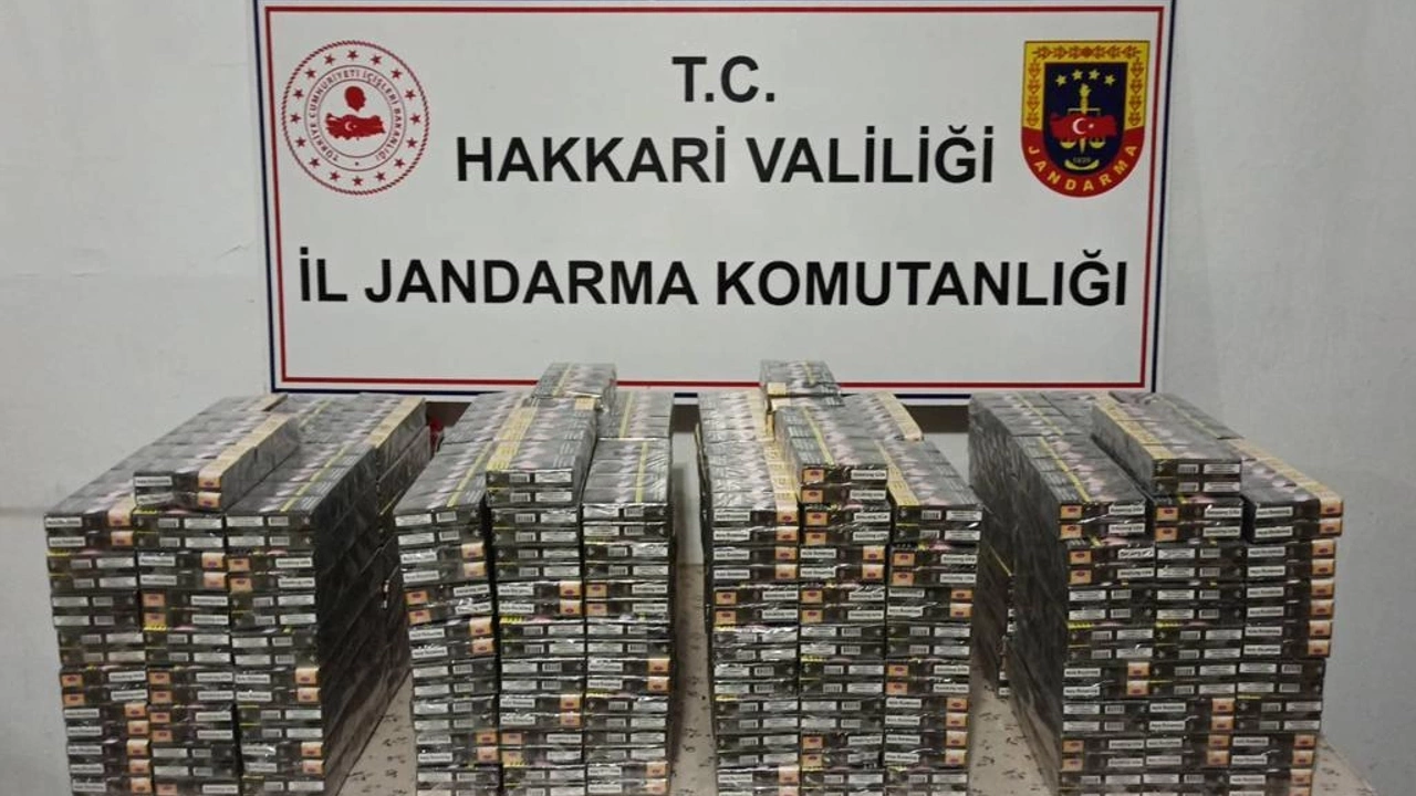 Hakkari’de kaçakçılık operasyonu
