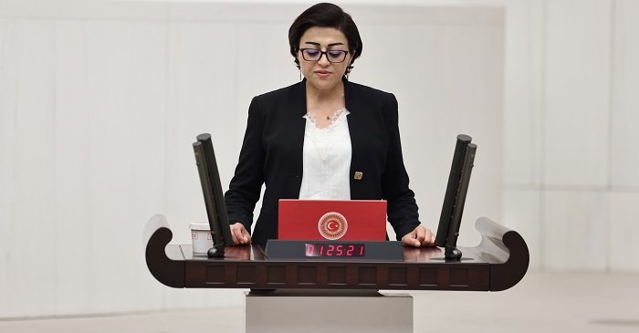 Bartın; Hakkari'deki üst geçitleri meclise sundu