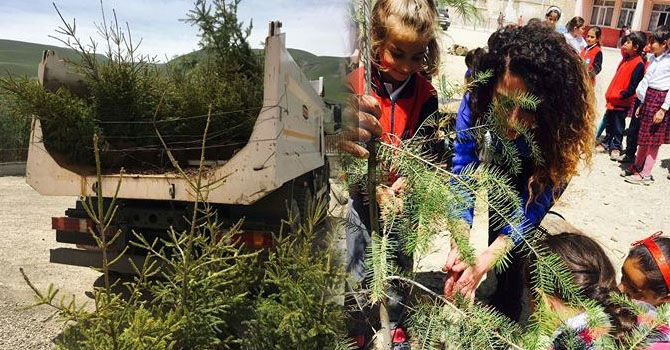 Esendere Belediyesi 2 bin 650 fidan dağıttı