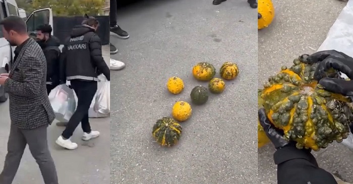 Hakkari'de Bal kabağı içinde 14 kilo uyuşturucu ele geçirildi