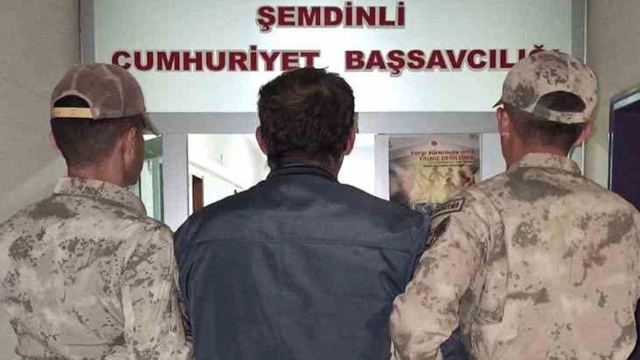 Şemdinli'de kaçak göçmen operasyonunda 1 gözaltı