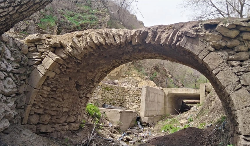Şemdinli'de tarihi köprü kaderine terk edildi
