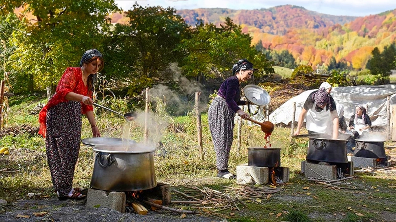 Dağlardan Topladıkları Otlarla Geçim Sağlıyorlar