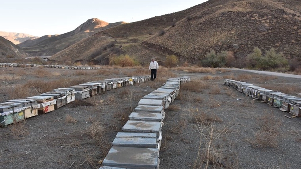 Hakkarili arıcı aldığı hibeyle kovan sayısını 5 kat artırdı