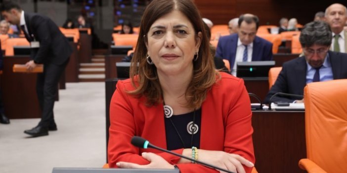 Meral Danış Beştaş'tan AK Partili vekile: Terörist senin babandır