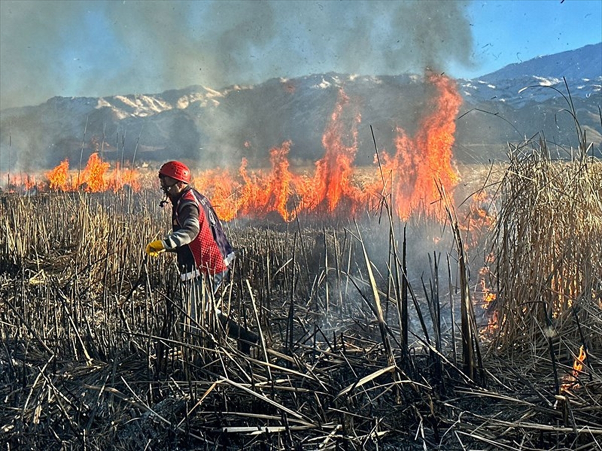 Yüksekova Nehil Sazlığı'nda çıkan yangına müdahale ediliyor