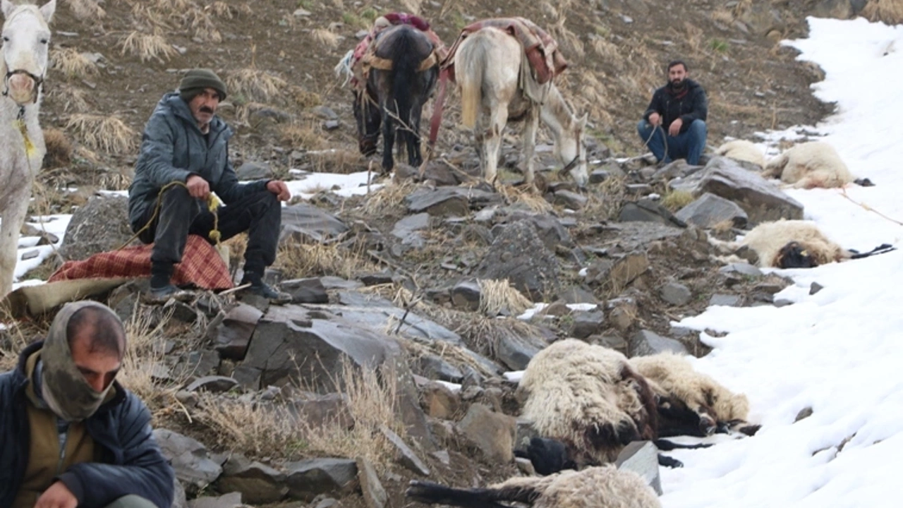 Yüksekova'daki kurt saldırısının bilançosu ağır oldu