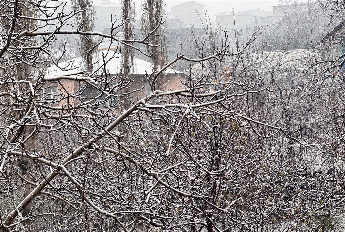 Hakkari'de kar yağışı etkili oluyor!