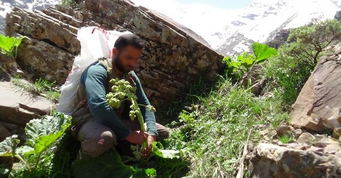 Uçkun toplamaya giden 6 Kişi mahsur kaldı