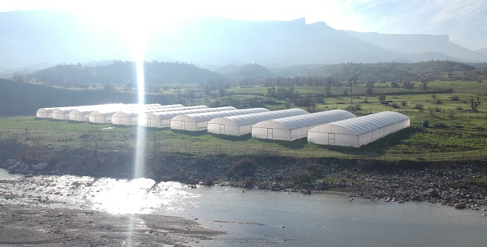 Derecik, seracılığın merkezi oluyor