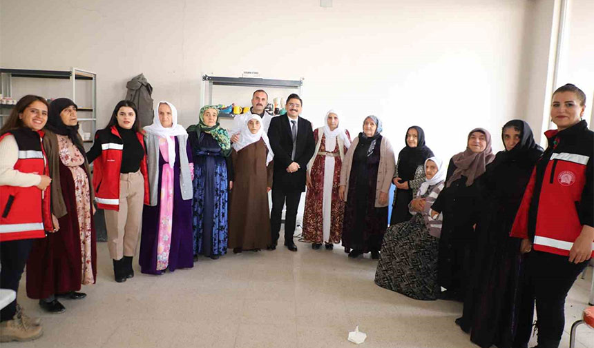 Vali Yardımcısı Mahmutoğlu, çınarlarla yakından ilgilendi