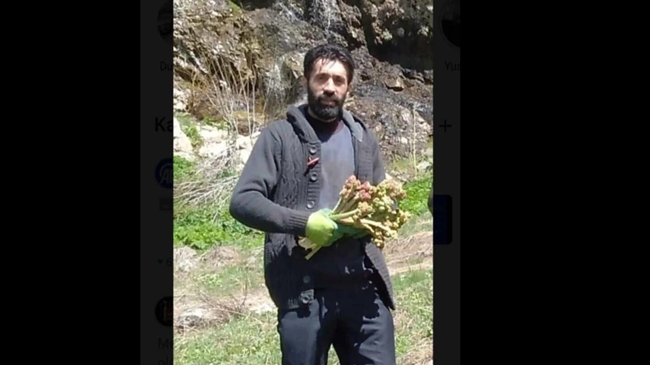 Hakkarili genç kalbine yenik düştü!