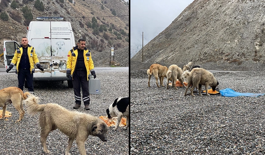 Belediye ekipleri can dostları unutmadı