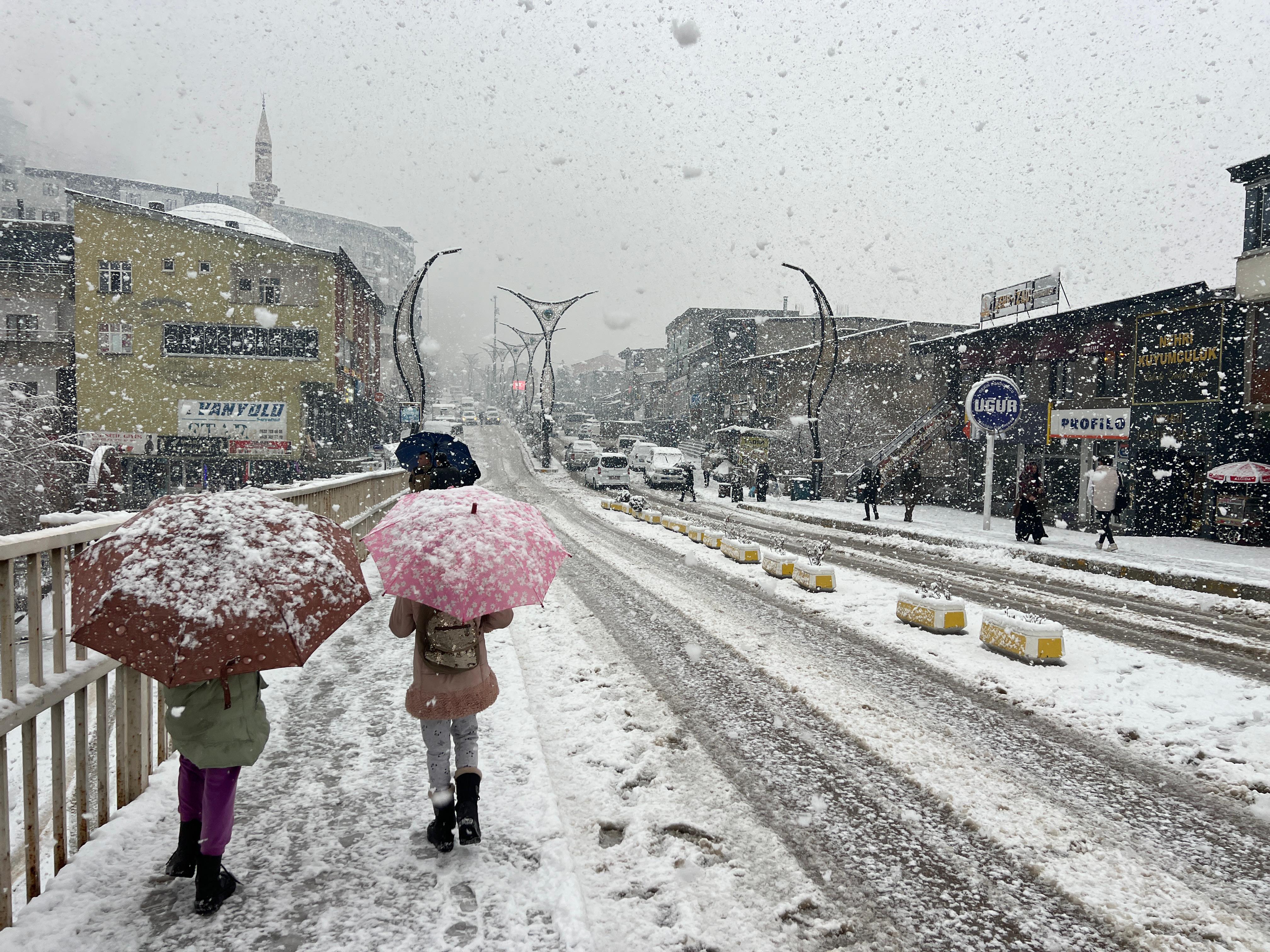 Şemdinli'de kar yağışı