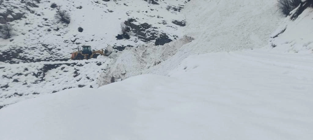 Şemdinli'de çığ düştü!